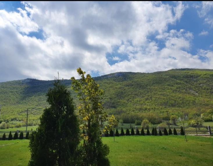 Vikendica M&t Villa Niksic